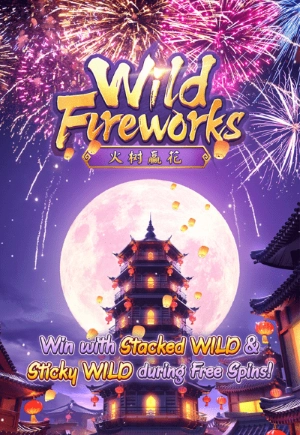 wild-fireworks-vertical